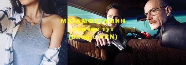 шишки Абаза