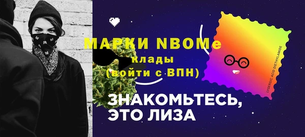 стаф Кулебаки