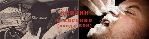 шишки Абаза