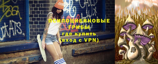 стаф Кулебаки