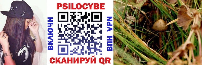 Псилоцибиновые грибы Cubensis  как найти   Кызыл 